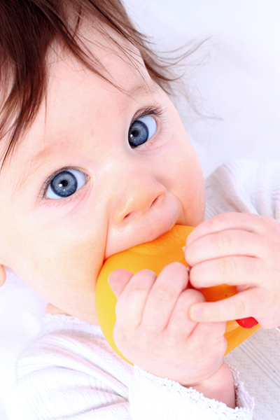 bebe-fait-ses-dents_624c3a32191b31.98063895.jpg Bébé fait ses dents